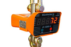 Весы электронные крановые TOR OCS-TY 1T